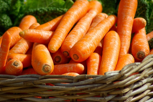 Хранение моркови: 7 основных способов сохранить свежесть и товарный вид