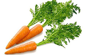 Технологія вирощування моркви (Як отримати 120 тонн з гектара)