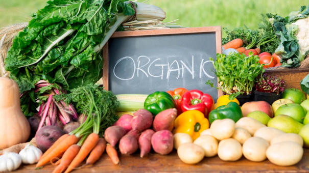 Що таке органічне фермерство?