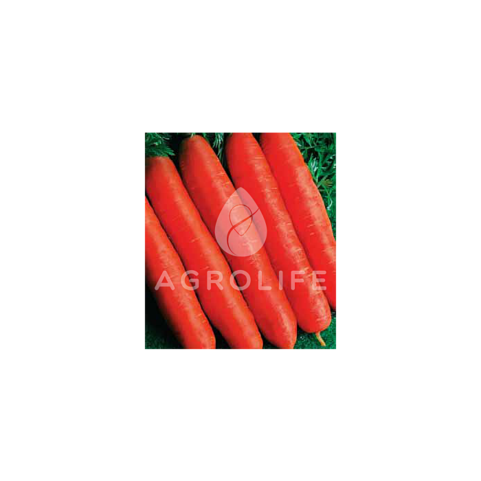 ОРТОЛАНО / ORTOLANO  — морковь, Hortus