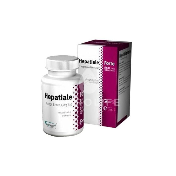 Hepatiale Forte — капсулы для поддержания функций печени собак мелких пород и кошек, VetExpert
