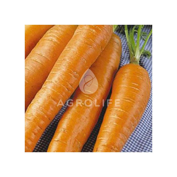 ФЛАККО / FLAKKO  — Морковь, Hortus