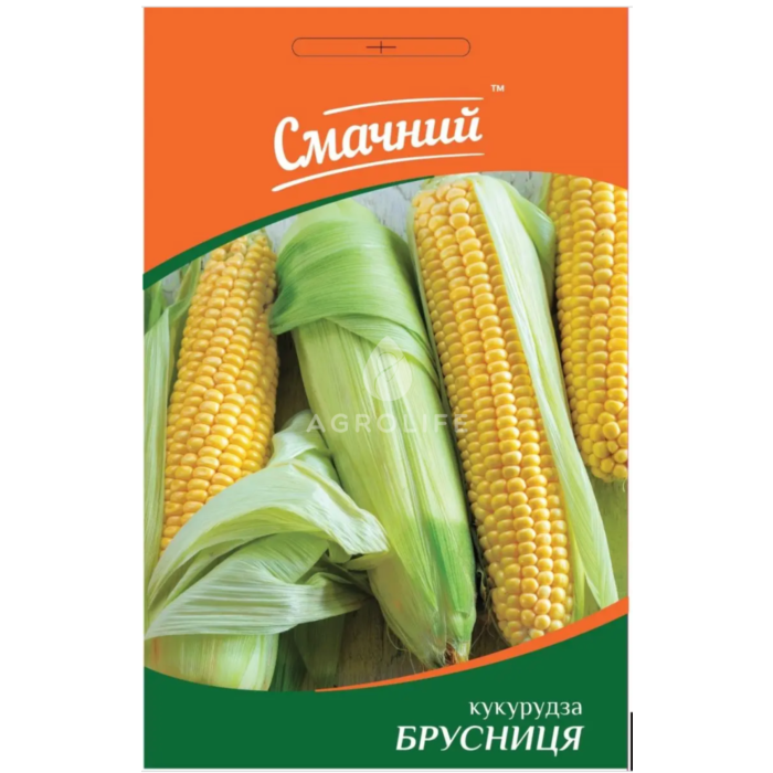 БРУСНИЦА / BRUSNYTSYA — Кукуруза, Смачний (Професійне насіння)