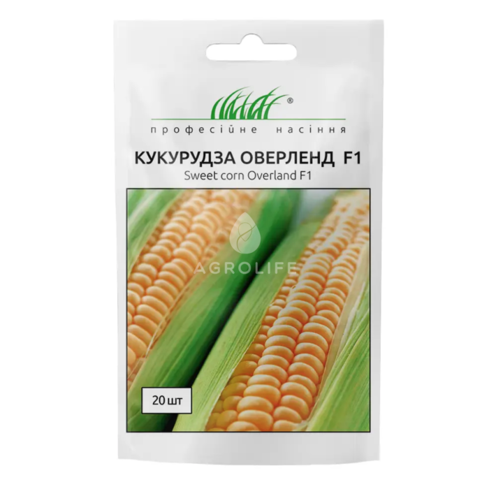 ОВЕРЛЕНД F1 / OVERLAND F1 — кукуруза, Syngenta (Професійне насіння)