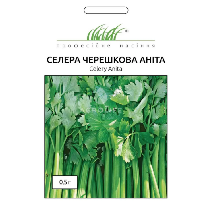 АНИТА / ANITA - Сельдерей, United Genetics (Професійне насіння)