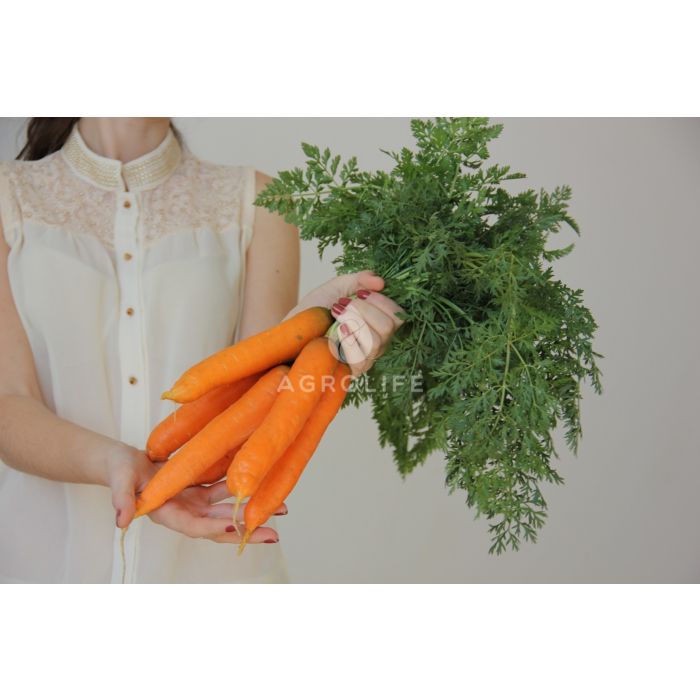 ГРЕТА F1 / GRETA F1 – Морковь, Lucky Seed