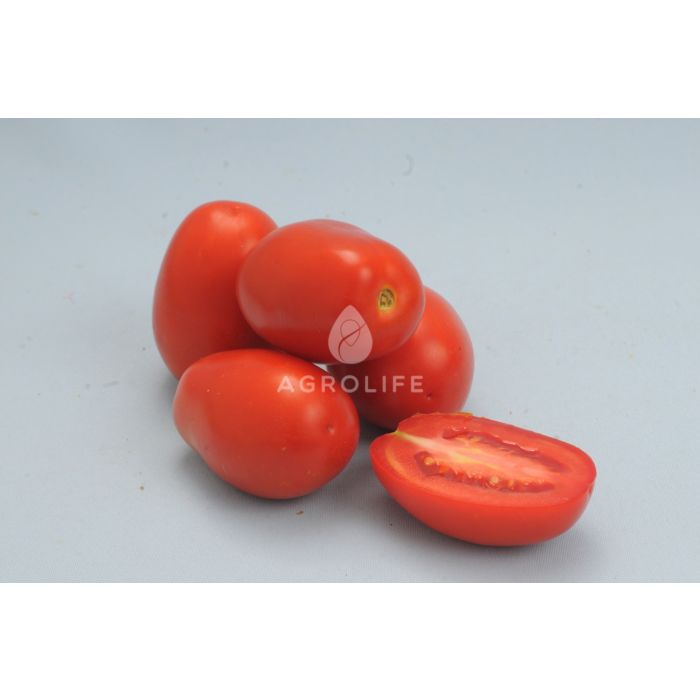 КИНГ F1 / KING F1 – Детерминантный томат, Lucky Seed