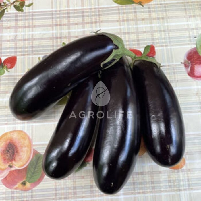 МИЛА F1 / MILA F1 — Баклажан, Spark Seeds