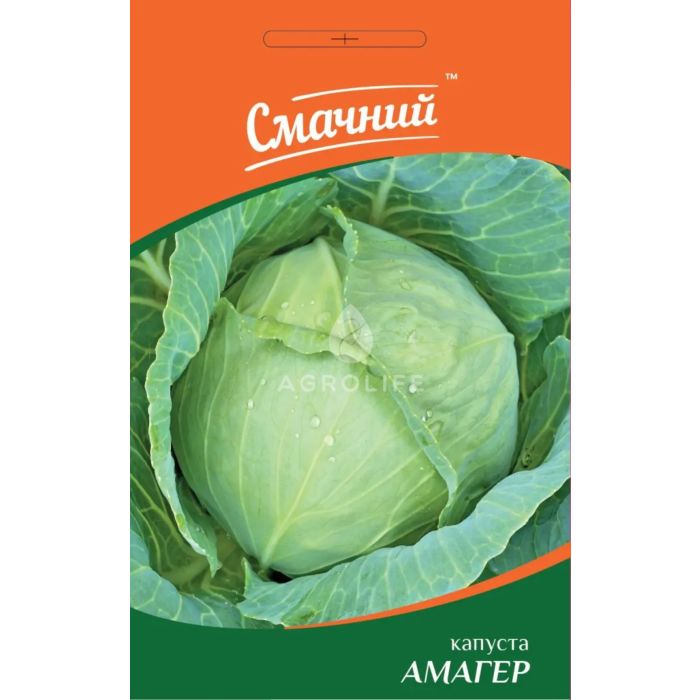 АМАГЕР / AMAGER — капуста белокачанная, Смачний (Професійне насіння)