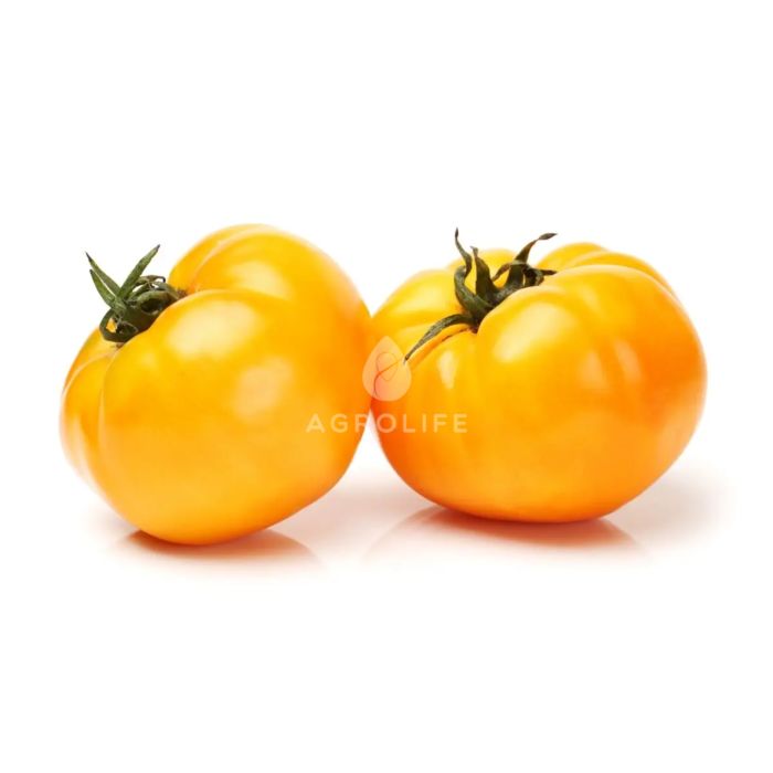 ИЛЬЯ МУРОМЕЦ / ILYA MUROMETS —  томат индетерминантный, Смачний (Професійне насіння)