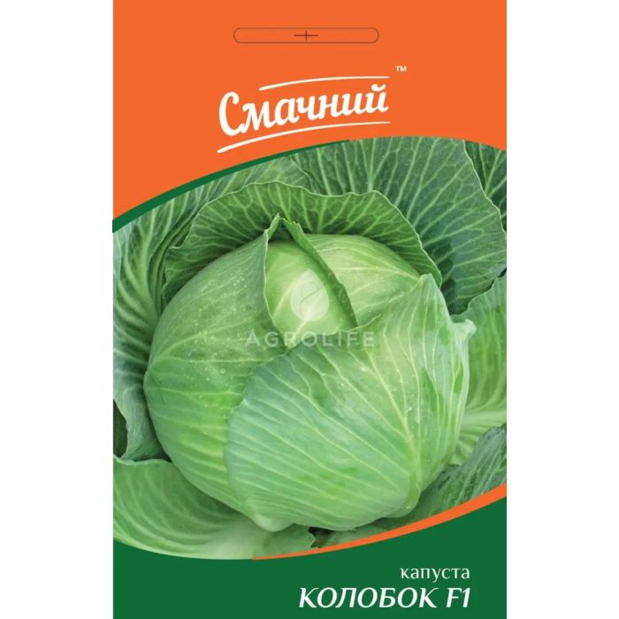 КОЛОБОК F1 / KOLOBOK F1 — капуста белокачанная, Смачний (Професійне насіння)