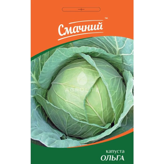 ОЛЬГА / OLGA — капуста белокачанная, Смачний (Професійне насіння)