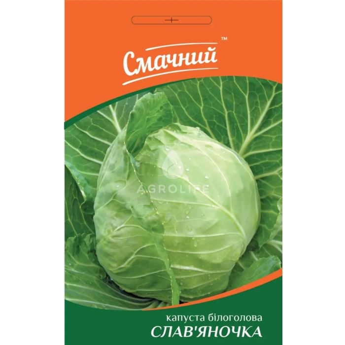 СЛАВЯНОЧКА /SLAVYANOCHKA — капуста, Смачний (Професійне насіння)