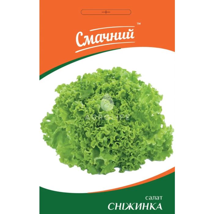 СНЕЖИНКА / SNOWFLAKE — салат, Смачний (Професійне насіння)