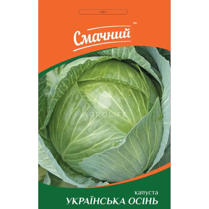 УКРАИНСКАЯ ОСЕНЬ / UKRAINIAN AUTUMN — капуста белокачанная, Смачний (Професійне насіння)