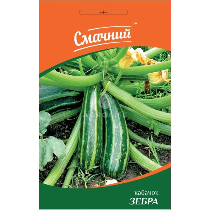ЗЕБРА / ZEBRA — кабачок, Смачний (Професійне насіння)