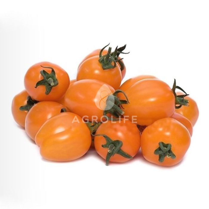 МОДА (помаранчевий) F1 / FASHION (orange) F1 - Томат Індетермінантний, Yuksel Seeds