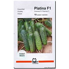 ПЛАТІНА F1 / PLATINA F1 - Огірок, Nunhems Zaden (Професійне насіння)