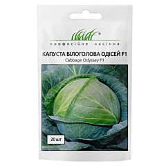 ОДИСЕЙ F1 / ODISEY F1 - Капуста білоголова, NongWoo Bio (Професійне насіння)