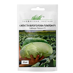 ПЛАТОН F1 / PLATON F1 - Капуста Білоголова, NongWoo Bio (Професійне насіння)