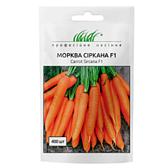 СИРКАНА F1 / SIRKANA F1 — морковь, Nunhems (Професійне насіння)