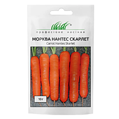 СКАРЛЕТ / SKARLET — морква, United Genetics (Професійне насіння)
