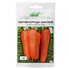 КУРОДА ШАНТАНЭ / KURODA SHANTANU – Морковь, United Genetics (Професійне насіння)
