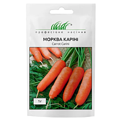 КАРИНИ / CARINI - Морковь, Bejo (Професійне насіння)