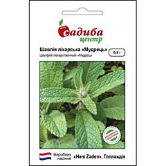 ШАЛФЕЙ / SALVIA — травяное растение, Hem Zaden (Садыба Центр)